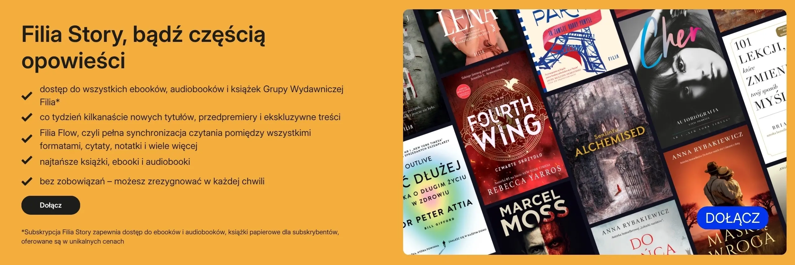 bicub_2560x854_pomarańczowy