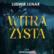 Witrażysta
