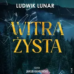 Witrażysta.webp